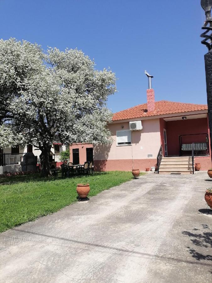 Αξέχαστη Διαμονή - Unforgettable Accommodation Nea Kallikrateia 외부 사진