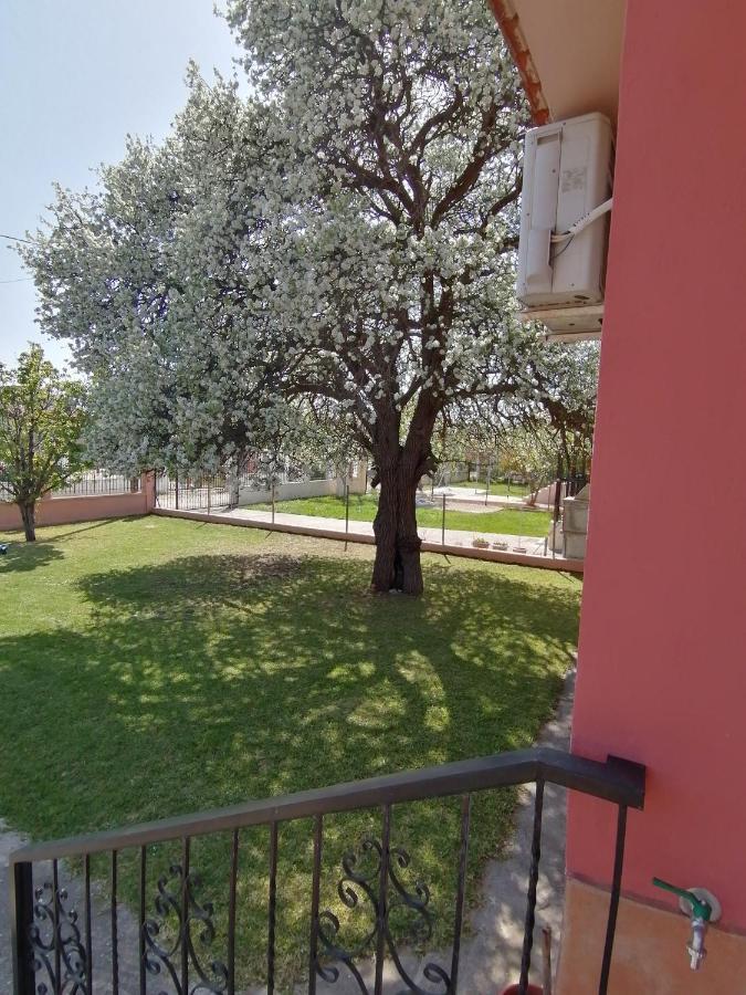 Αξέχαστη Διαμονή - Unforgettable Accommodation Nea Kallikrateia 외부 사진